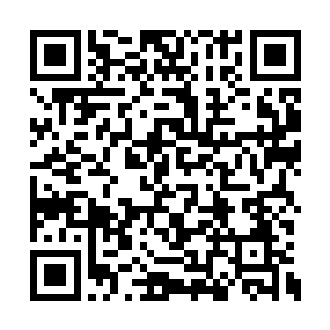而是去一些隐秘的地方采摘一些树界才有的神物二维码生成