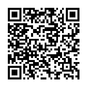 而是去过明星的生活并顺便赚大钱都没有任何问题二维码生成