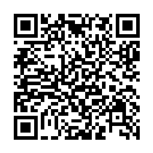 而是双鱼圣骑的这一掌跟太极掌比起来也是丝毫不弱二维码生成