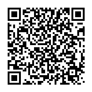 而是发现左美儿貌似并没有在自己骄傲自大自私的路上一条道走到黑二维码生成