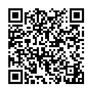 而是发现自己的勇气并没有自己所想象中的那么大二维码生成