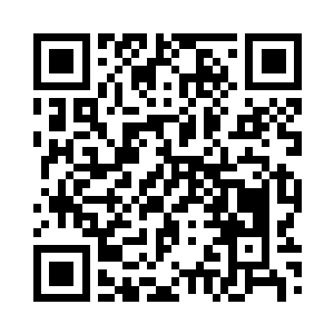 而是变成了一片刚栽种不久的小树林二维码生成