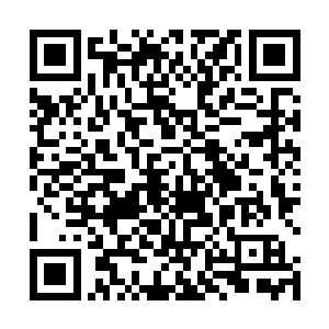 而是叶莹一天到晚都呆在黎王府里手里也没有什么势力二维码生成