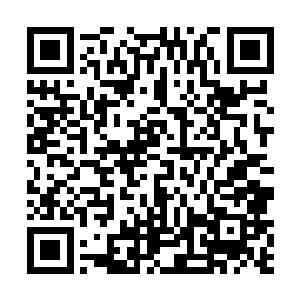 而是否与王枫交易机器设备的决定权由那几位先生掌握二维码生成