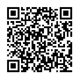 而是因为丁羽的这个身份实在是有那么一些太过于的特殊二维码生成