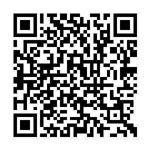 而是因为他们想要购买雨果身上那样效果的服装二维码生成