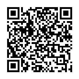 而是因为他想要将楚旬等人的全部潜力和底牌都给逼出来二维码生成