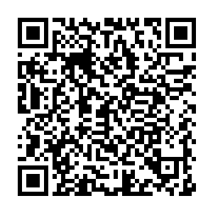 而是因为完成了家族内的任务积分达到了足够的要求才成为的内族人二维码生成