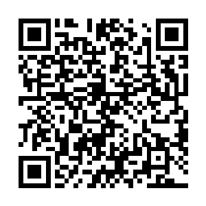 而是因为气不过自己好不容易得到的战利品被恶人抢走了二维码生成