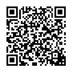 而是因为浓郁的天地元气自然孕育出来的野生灵药二维码生成