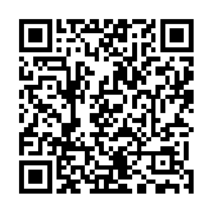 而是因为金球奖在演技部门的奖项颁发着实太过匪夷所思二维码生成