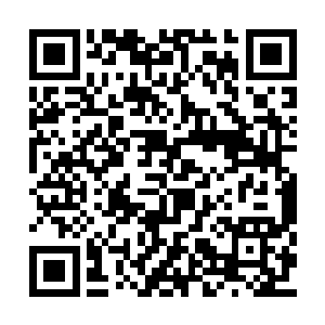 而是围城会根据他内心最最真实的想法做出反应二维码生成