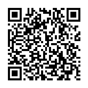 而是在不远的地方利用其不能走路的缺点施展一些小法术二维码生成