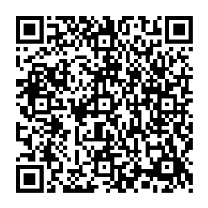 而是在在明里暗里都花费了很大的力气来保护这些城市之中的人类不被周边城市的妖族二维码生成