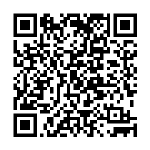 而是在集体懵逼这帮人什么时候都聚集到星空集团旗下了二维码生成