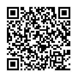 而是在鬼市附近的山脉中召集黑虎旗和蓝虎旗的人马二维码生成