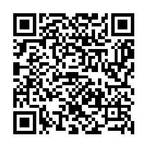 而是大声喊住了已经走到高速路外面的那个小女孩母女二维码生成