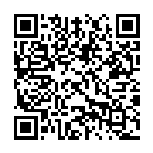 而是大大方方地在姚采儿的脸上亲了一个响亮的吻二维码生成