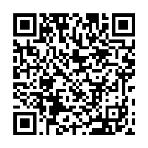 而是天元为什么不做任何检测就认为他没有精神力不给考二维码生成