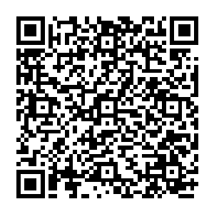 而是她们无法眼睁睁的看着欢喜哥拖着如此疲惫伤病的身子在泳池里毫无希望的挣扎着二维码生成