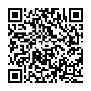 而是如同一个高速打孔机一样直接在脑袋上打出一个拳头大的洞二维码生成