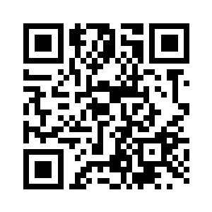 而是实实在在炫酷无比的战斗机二维码生成