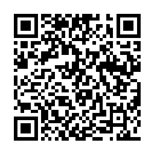而是寄生在他身上的尸虫孙鹏之所以会变成僵尸二维码生成