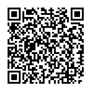 而是将修为运至结丹期第八层的修为向着虎型傀儡释放出来一个法术二维码生成