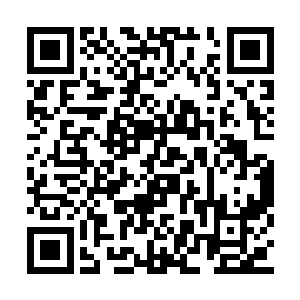 而是将左手放在了单人藤椅旁边的长藤椅椅背上二维码生成