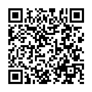 而是将手中的金色长弓瞄准另一边的蓝袍老者碧海二维码生成