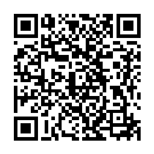 而是将断脉钉上带有的一丝九幽之气打入了那一点经脉二维码生成