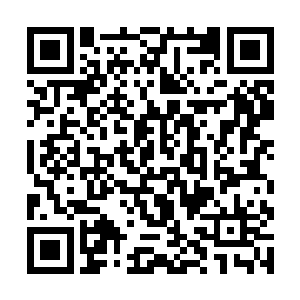 而是将目光齐刷刷的凝聚在玉丹宗那位太上长老身上二维码生成