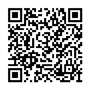 而是帝者之路根据它对那些上古帝级强者的记忆二维码生成