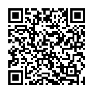 而是开始呼唤身后的吕文然以及不远处的司马两兄弟二维码生成