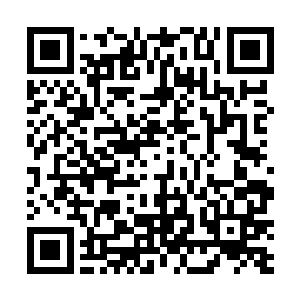 而是张铁当初在琼州外海的海岛上击杀了毒狼朱量之时二维码生成