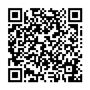 而是当着他们的面就开始通过纸上的印记提炼手膜二维码生成