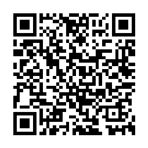 而是微微皱着眉头注视着下方地面上的一个深坑二维码生成