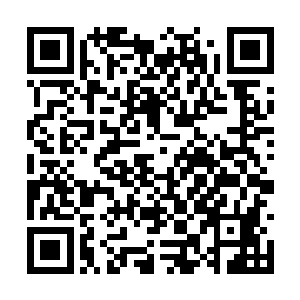 而是微微皱起眉头望着那两个青年修士走向许紫烟二维码生成