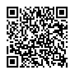 而是必须将敌人打击到失去继续战斗能力的结果二维码生成