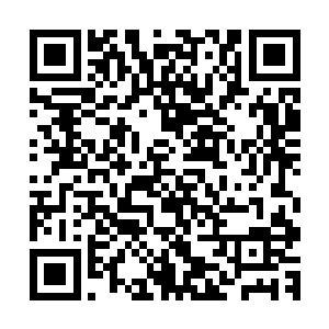 而是怕到时候小方氏带着两个孙子在她面前哭求又心软答应了二维码生成