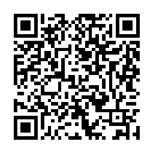 而是恐怖到令天下的强者都要望风而逃的强横天赋二维码生成
