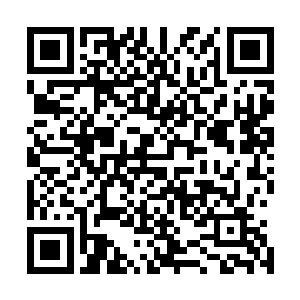 而是惊悚悬疑电影里常见的用经典文学烘托不安气氛的手法二维码生成