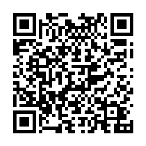 而是想为宜安的穷困老百姓们多争取一些好的项目二维码生成