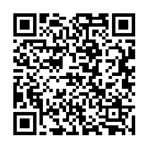 而是想看看这斗转微尘阵里的材料可有什么能用的二维码生成