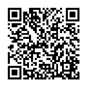 而是愤怒在接受能量风暴冲击之时不断调整自身角度二维码生成