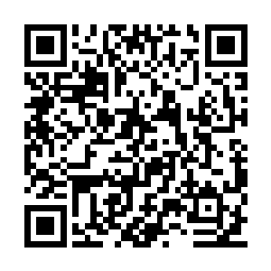 而是或扩充或成立自己的碟片和录像带发行部门二维码生成