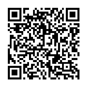 而是战王门出动的一百多个圣级强者全部死亡……真剑宗呢二维码生成