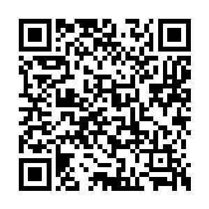 而是把每一个内脏部位都非常完整的切割了下来二维码生成