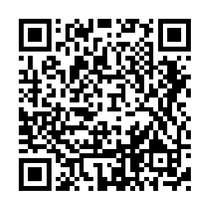 而是把注意力转到了四周的九头妖帅等妖修身上二维码生成