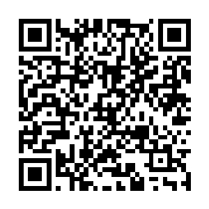 而是把篮球随手向着他们的篮板的方向瞎丢了出去二维码生成